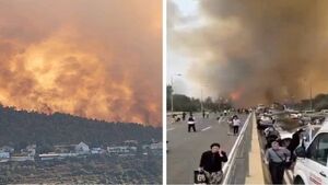 عصای موسی گاهی هم به شکل آتش در می‌آید