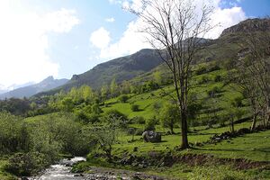 عکس/ بهشت اردیبهشت کوهستان چالوس
