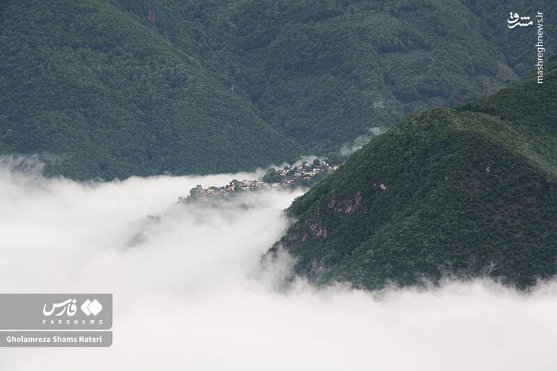 عکس/ بهشت اردیبهشت کوهستان چالوس
