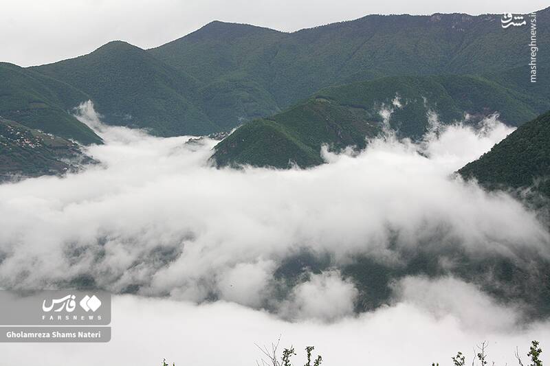 عکس/ بهشت اردیبهشت کوهستان چالوس
