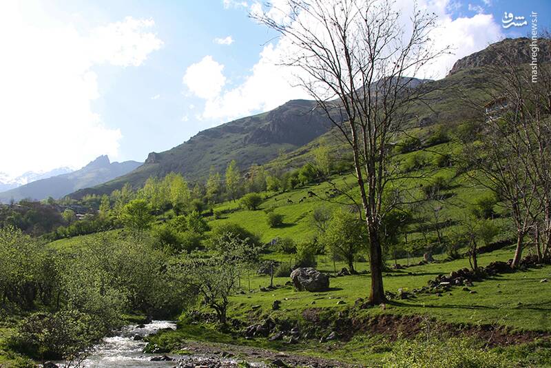 طنازي