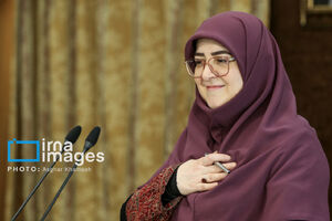 مهاجرانی: پایین بودن درآمدها دولت را مجبور به مداخله در اقتصاد می‌کند