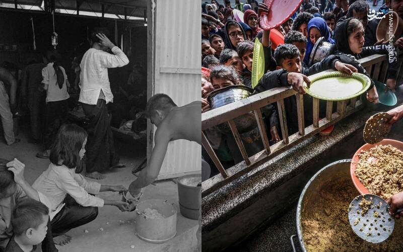 از غزه تا ویتنام؛ خشونتی که در تاریخ معاصر یک وجه مشترک دارد!+ عکس