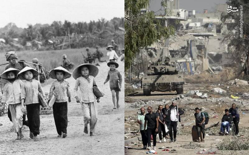 از غزه تا ویتنام؛ خشونتی که در تاریخ معاصر یک وجه مشترک دارد!+ عکس
