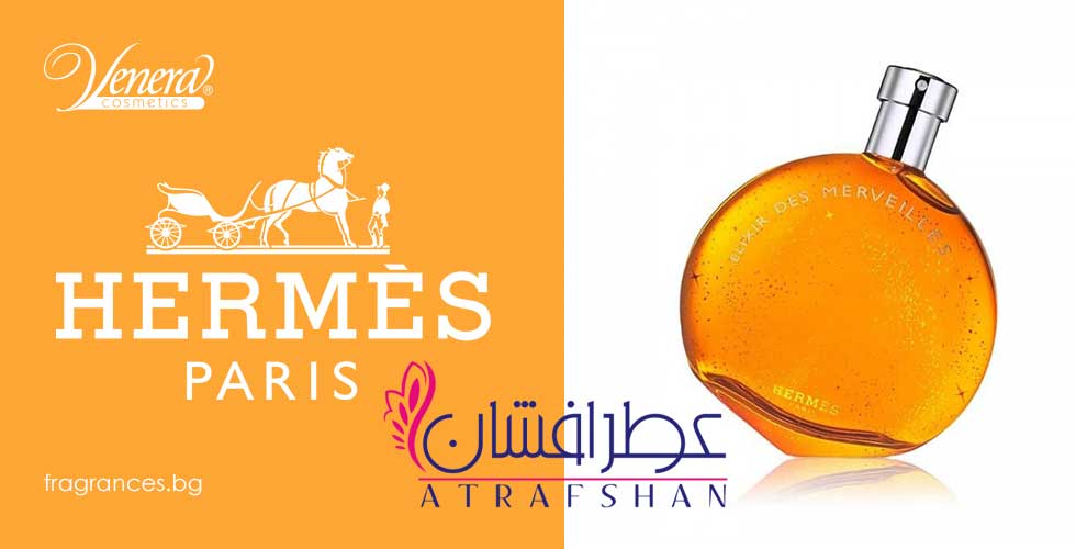 راهنمای انتخاب عطرهای لوکس هرمس؛ کدام انتخاب شماست؟