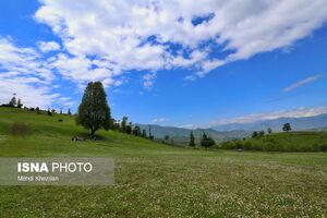 بازی والیبال نوجوانان در ارتفاعات استان زیبای گیلان