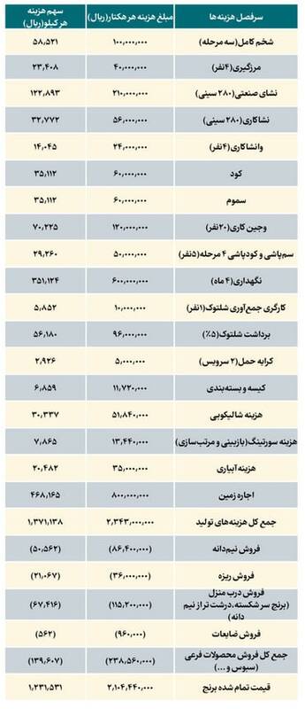 جنگ برنج در بازار: سوداگری شرکت‌ها یا سیاست‌گذاری نادرست؟/ کشاورزان برنج را ۸۰ هزار تومان فروختند، دلالان ۲۲۰ هزار تومان!