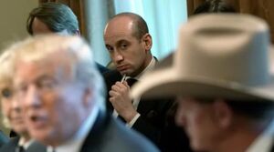 جانشین احتمالی «مایک والتز» کیست؟