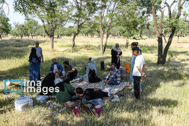 آیین سنتی «پنجاه بدر»