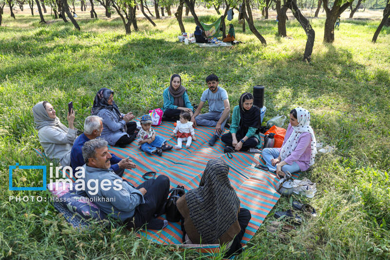 آیین سنتی «پنجاه بدر»