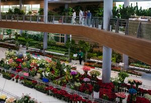 عکس/ افتتاح بیستمین نمایشگاه گل وگیاه شهرداری تهران افتتاح بیستمین نمایشگاه گل وگیاه شهرداری تهران