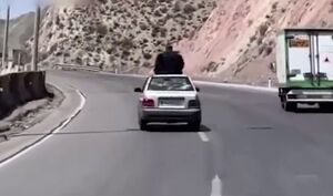 فیلم/ سوار شدن یک خانم بر سقف خودرو در ملایر