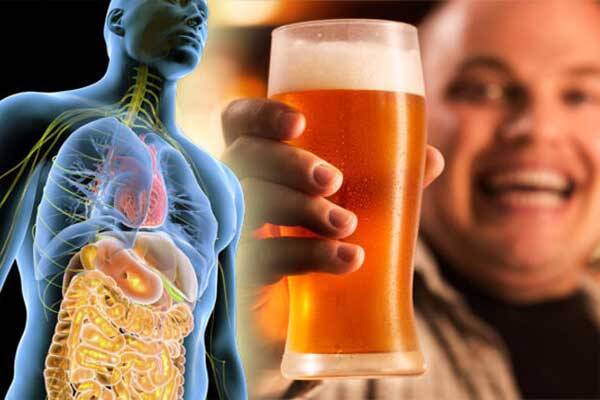 منظور از بیماری الکلی کبد چیست؟ – متخصص کبد چرب|دکتر ندا رشتچیان