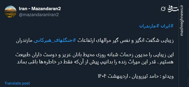 زیبایی شگفت انگیز و نفس گیر مرالهای ارتفاعات جنگلهای هیرکانی+ فیلم