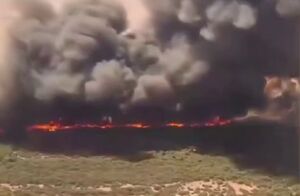 مهار آتش سوزی‌های گسترده در ایالت آریزونای آمریکا