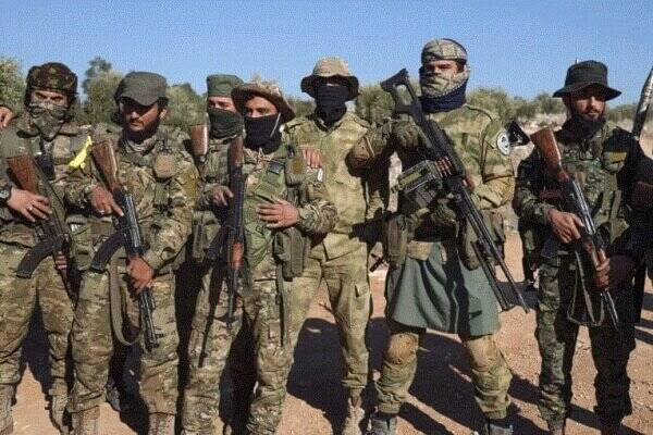لاذقيه،سوريه،تروريست،عناصر،موارد،استان
