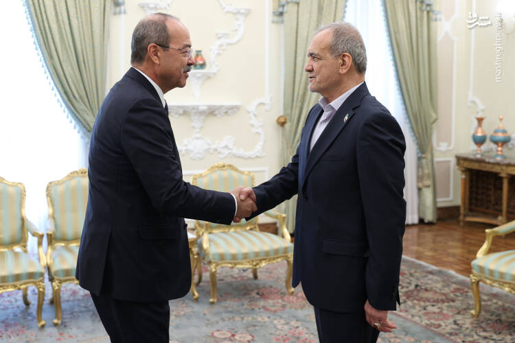 عکس/ دیدار نخست وزیر ازبکستان با پزشکیان