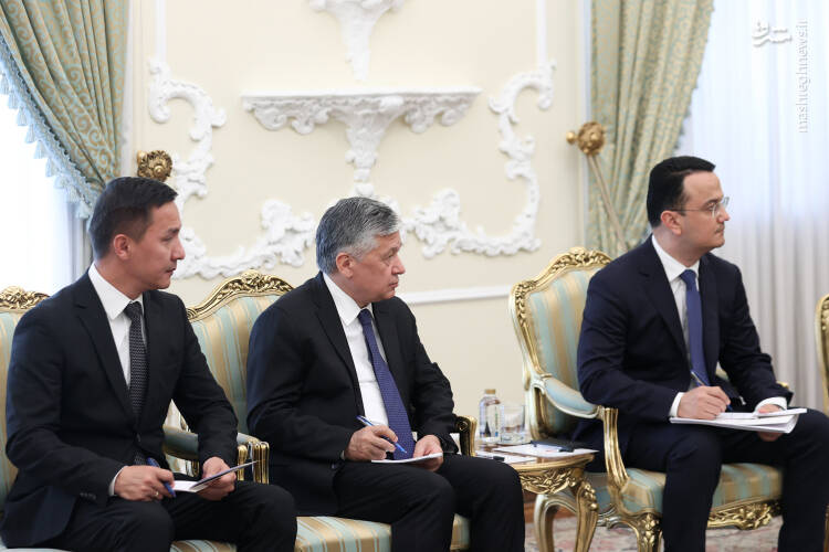عکس/ دیدار نخست وزیر ازبکستان با پزشکیان
