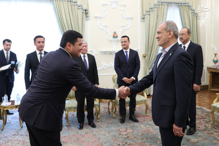 عکس/ دیدار نخست وزیر ازبکستان با پزشکیان