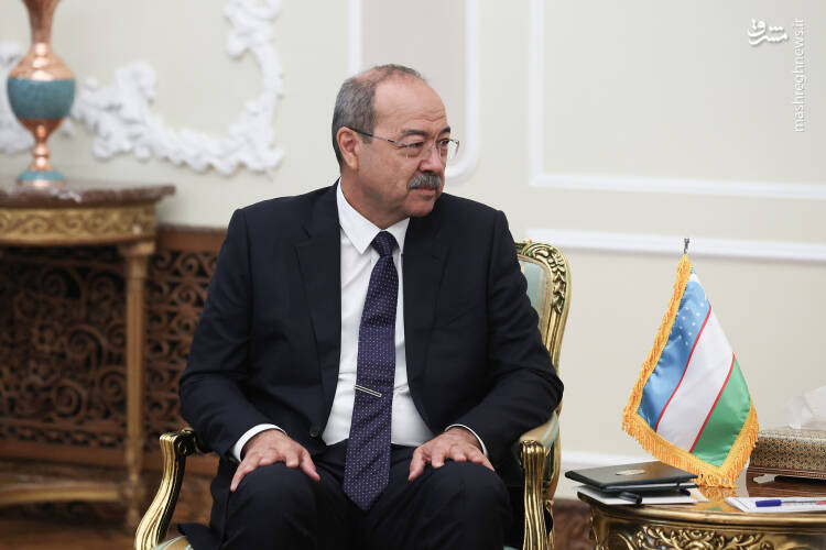 عکس/ دیدار نخست وزیر ازبکستان با پزشکیان