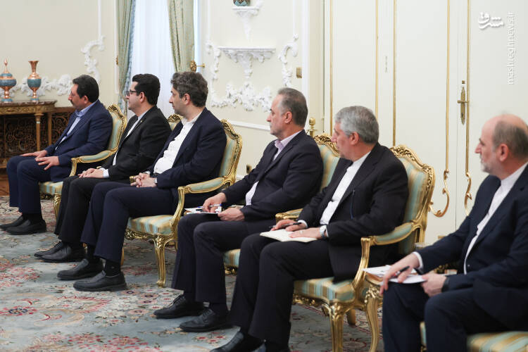 عکس/ دیدار نخست وزیر ازبکستان با پزشکیان