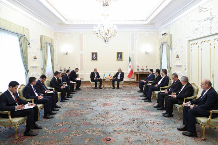 عکس/ دیدار نخست وزیر ازبکستان با پزشکیان