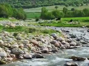 ویدئویی از طبیعت بکر و زیبای دره اسپر