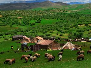 زیبایی زاگرس به روایت تصویر