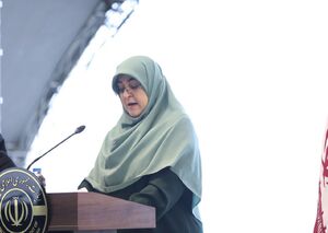 فیلم/ مهاجرانی: موقعیت ویژه ایران حکم می کند کریدورها را گسترش دهیم