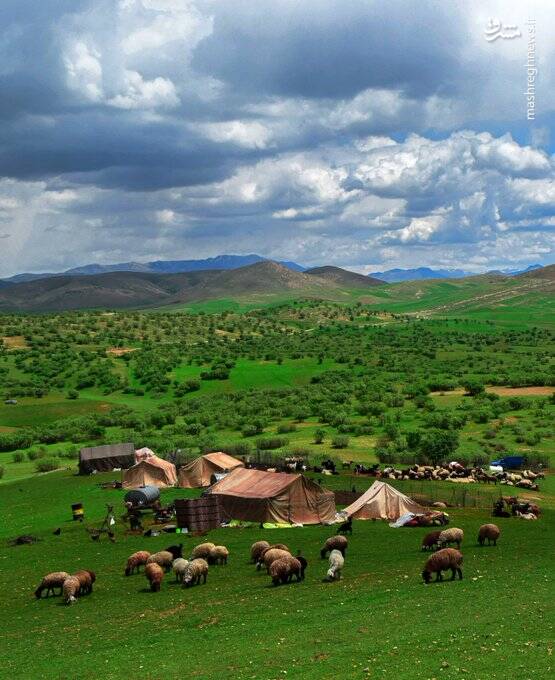 زیبایی زاگرس به روایت تصویر