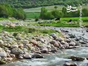 اسپر،دره،منتشر