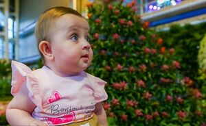 نمایشگاه گل و گیاه تهران