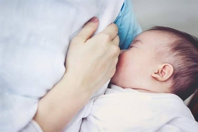 خون ما حلالتر از شیر مادر است - ایبنا