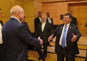 فیلم/ دیدار رئیس مجلس مالزی با قالیباف