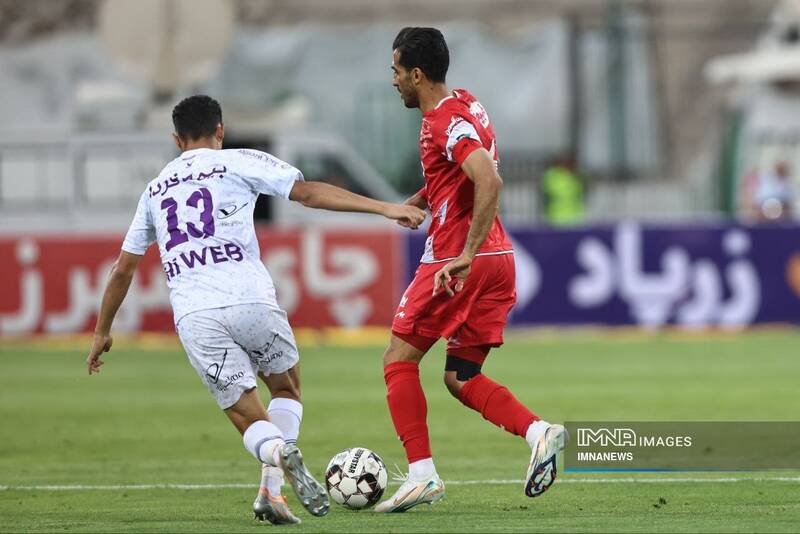 هوادار