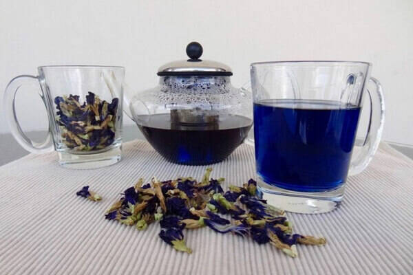 گل گاوزبان برای رفلاکس معده + قیمت خرید - آراد برندینگ