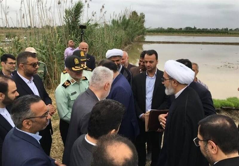 قضايي،تاكيد،سازمان،كشاورزان،رسمي،ابطال،اراضي،سند،مسلح،كشاورز ...