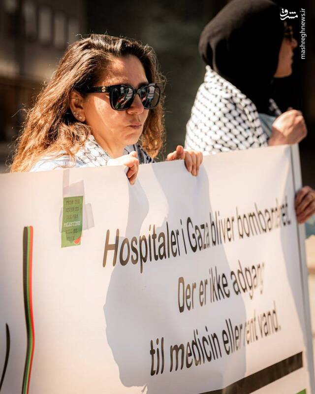 عکس/ تظاهرات حامیان فلسطین در سوئد
