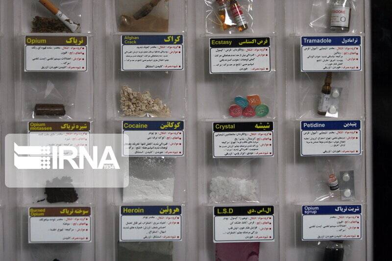 هشدار به خانوادهها و نسل جوان/ این گیاهان مخدرند