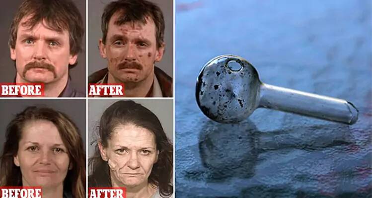 هشدار به خانوادهها و نسل جوان/ این گیاهان مخدرند