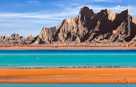 منتشر