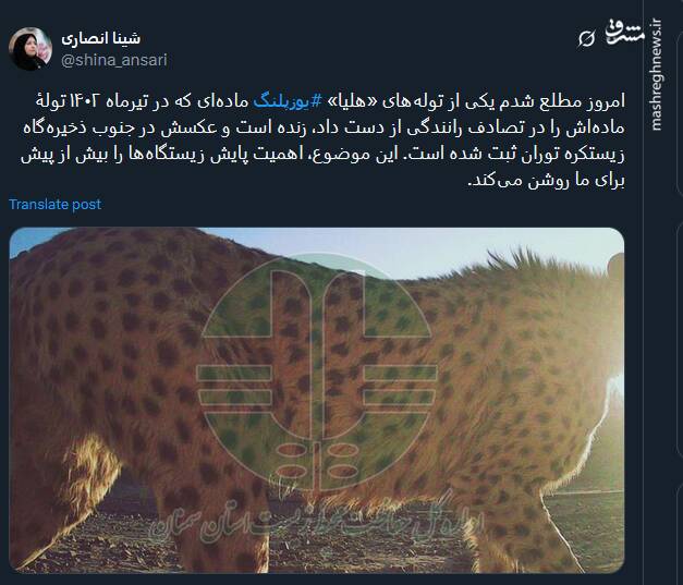 تاکید رییس سازمان حفاظت محیط‌زیست بر اهمیت پایش زیستگاه‌ها