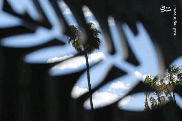 دلایل ممنوعیت برهنگی در جشنواره فیلم کن ۲۰۲۵/خط قرمزِ فرش قرمز