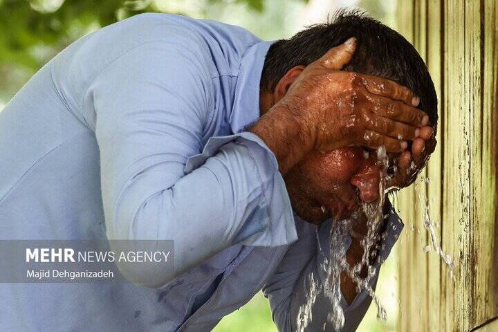 گرم،اظهار،افزايش،روز