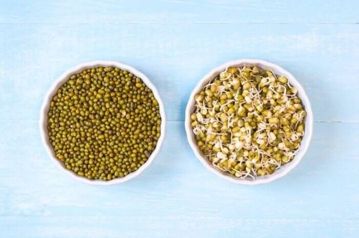 جوانه ماش؛ بمب ویتامین و پروتئین