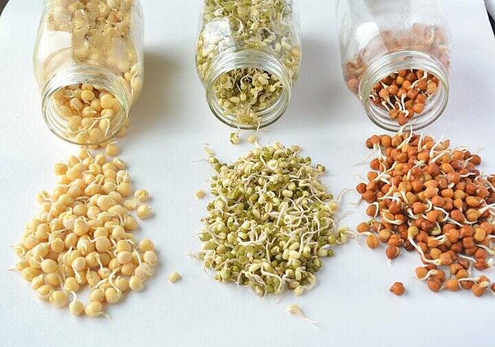 جوانه ماش؛ بمب ویتامین و پروتئین