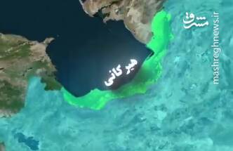 وجبش،آمازوني