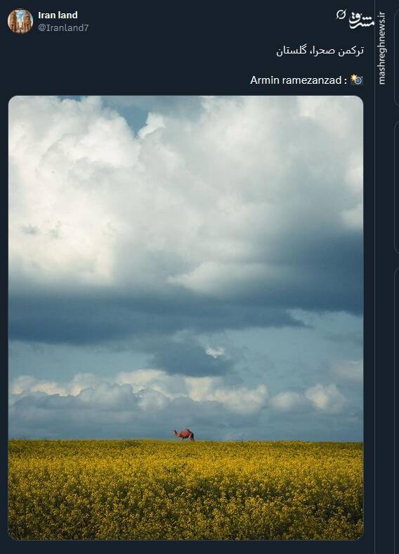 زیبایی و آرامش ترکمن صحرا به روایت تصویر