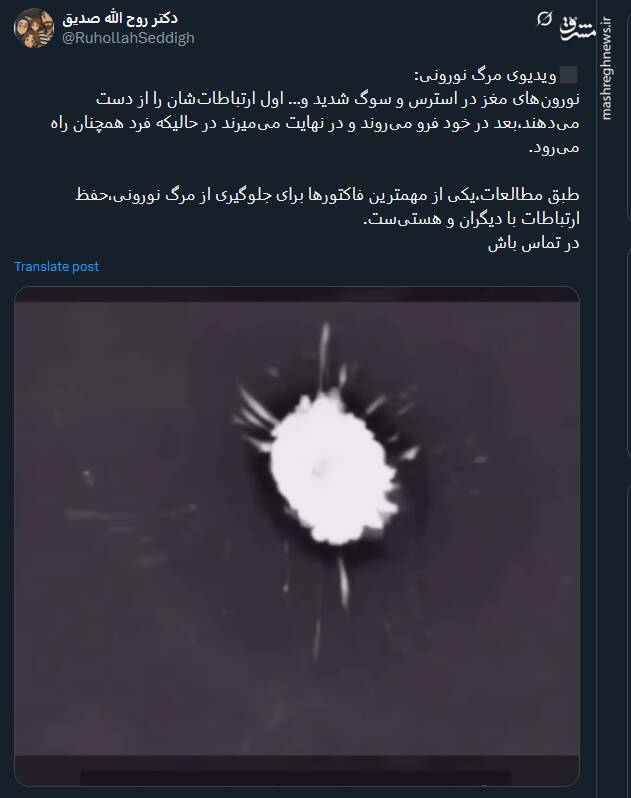 ویدیویی از مرگ نورونی