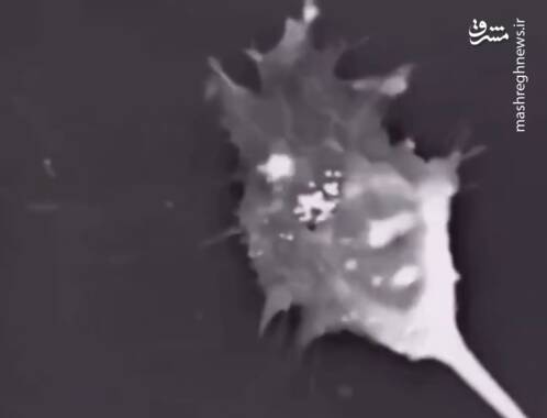 نوروني،مرگ